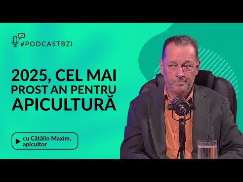 2025, an dificil pentru apicultorii din România! Cătălin Maxim discută despre criza din apicultură