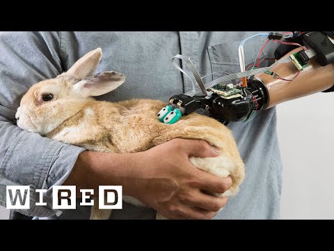 This Robotic Hand Can Touch and Feel, Just Like a Human Hand | Cyborg Nation - UCftwRNsjfRo08xYE31tkiyw