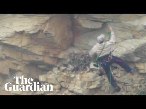 Derbyshire man caught on camera stealing peregrine falcon eggs