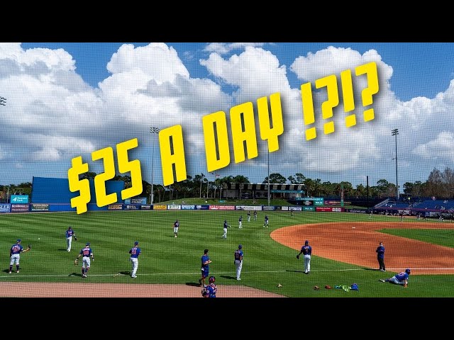 When Do Minor League Baseball Players Report To Spring Training?