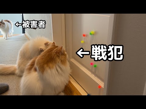 流行りのおもちゃを渡しただけなのに案の定事件が起きました