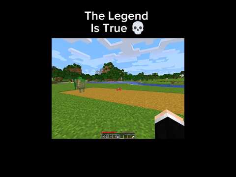 Turtle VS Rabbit Race 💀 #minecraft #jaidmeel #shorts