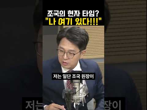 레드팀 조국의 속내는