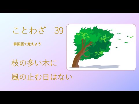 ことわざ 39 枝の多い木に風の止む日はない