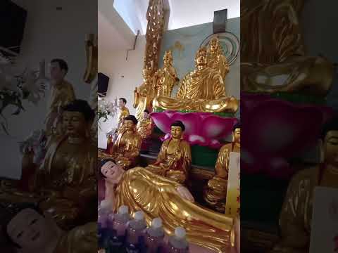 chùa Hoa Quận8, #vongtayphongthuygiakhiem #travel #phongthuyminhlong