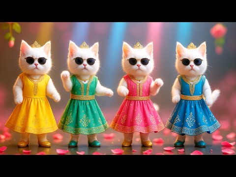 बिल्ली  डांस,💃| Cutest Cat videos funny dance 🤣 💃 Videos for cats #funny #dancingcat #cat