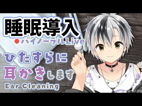 🛑【Binaural/黒3Dio】本気で眠りたい人のためのじっくり奥まで耳かき 2024.1.29【にじさんじ/鈴木勝】