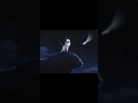 absol 🖤