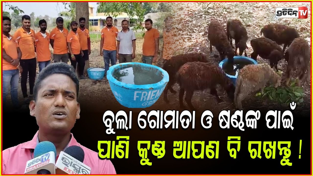 ବୁଲା ଗୋମାତା ଓ ଷଣ୍ଢଙ୍କ ପାଇଁ ପାଣିକୁଣ୍ଡ ଆପଣ ବି ରଖନ୍ତୁ ! Friends group water tubs for animals, Bhadrak.