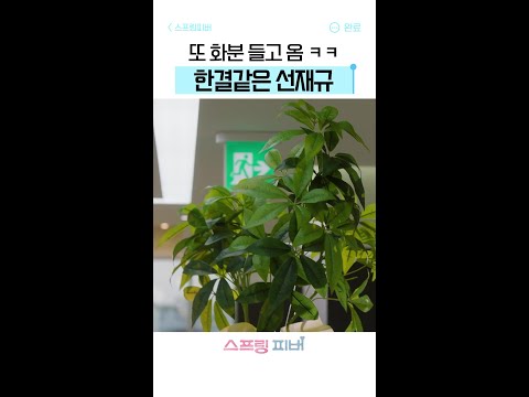 화분과 떼려야 뗄 수 없는 선재규ㅋㅋ #스프링피버