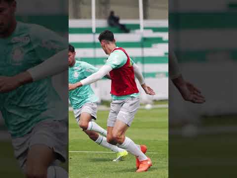 image para ilustrar o artigo