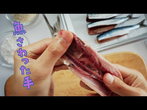 花王 ビオレｕ キッチンジェルハンドソープ バンパー 魚篇 動画広告
