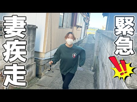 冗談のつもりが実現可能にした妻が今日も凄い…