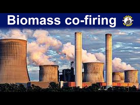 What is Biomass Co-firing ? How much Biomass co-firing is done in Indian coal fired power plants ?