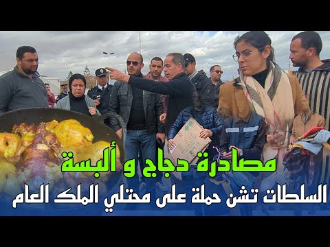 مصادرة دجاج و ألبسة أثناء حملة للمراقبة و تحرير الملك العام بالناظور