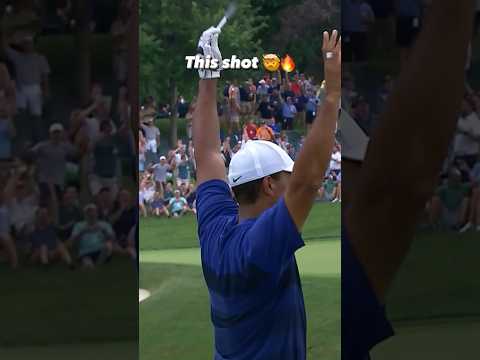 Does anyone get the fans going like Tiger? 🔥