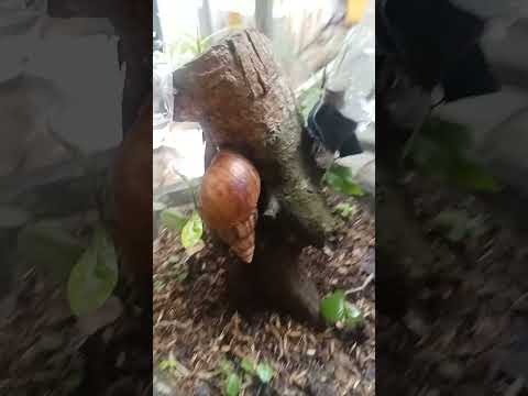 nên cảnh giác nha a e