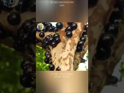 Most Unique fruit that you don't know. 😱 #viralvideo