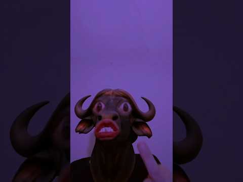 EL🐂TORRO♉BRIGID🍀HEALER🍀🍀