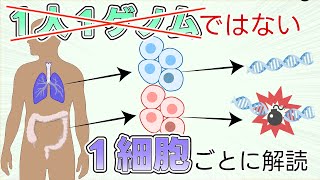 【最新研究2025】私達は1人1ゲノムではない？ 1細胞ごとの解析が明らかにする衝撃の真実 #たかとー研究室