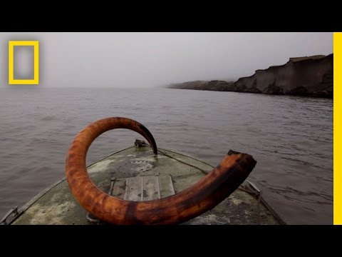 Mammoth Tusk Treasure Hunt | National Geographic - UCpVm7bg6pXKo1Pr6k5kxG9A