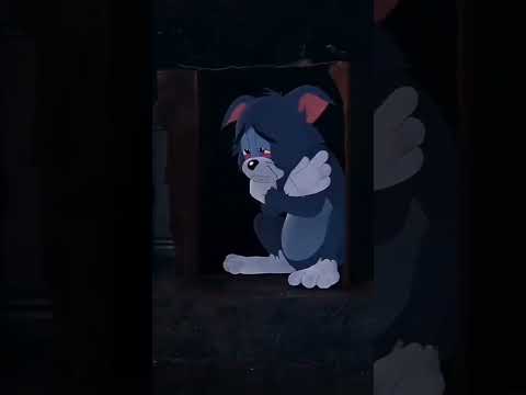 ٣١ أكتوبر ٢٠٢٥