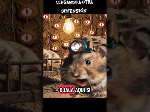 Llegando a otra dimensión #hamsters #comedia #dimensions #humor #comedy #misterio #ps5 #cats #pets