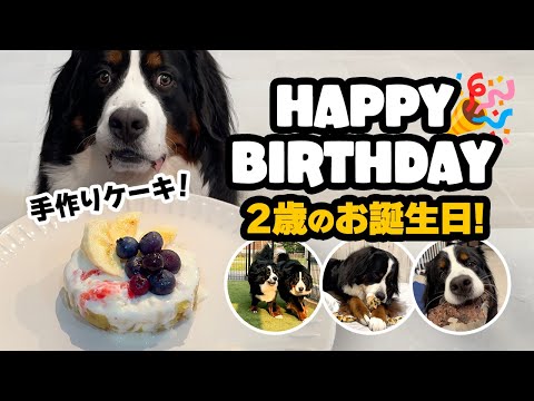 2歳の誕生日🎉はじめての手作りケーキ🎂&輪くんからのプレゼント🎁