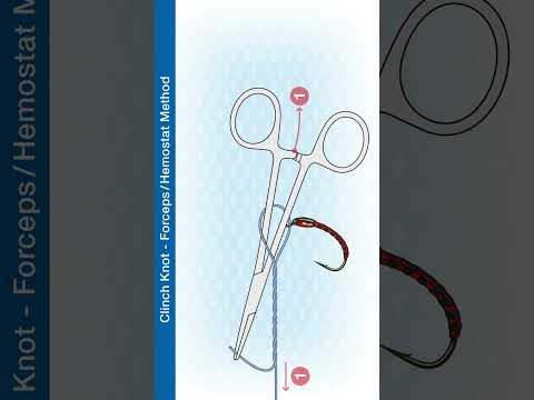 How To Tie The Clinch Knot - Forceps-Hemostat Method