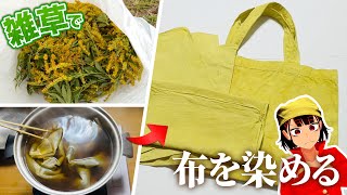 雑草を集めて布を黄色に染めてみた【セイタカアワダチソウ】