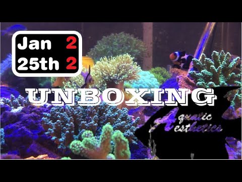 Fish Unboxing Jan 25 Aquatic Aesthetics
5622C TN Hwy 153
Chattanooga/Hixson
423.386.5759

Be sure to catch Rob and the re