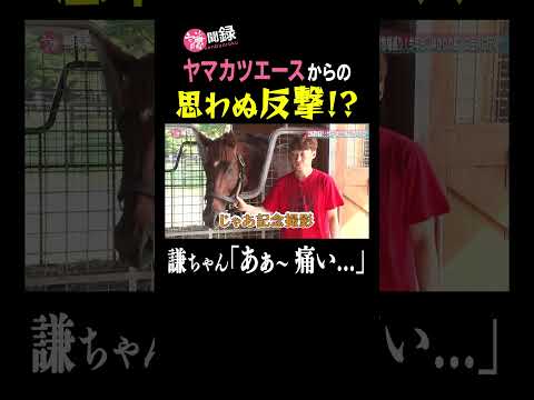 ヤマカツエースと再会! ナデナデするも思わぬ反撃が…? #謙聞録 #netkeiba で配信中 #池添謙一 #ヤマカツエース