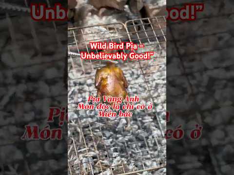 món pịa vàng anh – tưởng bẩn mà ngon không tưởng | Wild Bird Pịa – Unbelievably Good!