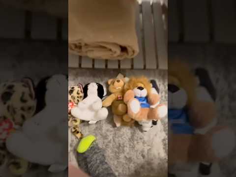 BINGO WINNING’S & GOOD WILL FINDS #countrydiggers #bingo #goodwill #panamacitybeachflorida