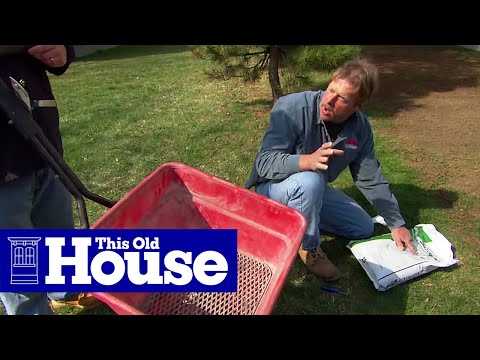 How to Revive a Brown Lawn | This Old House - UCUtWNBWbFL9We-cdXkiAuJA