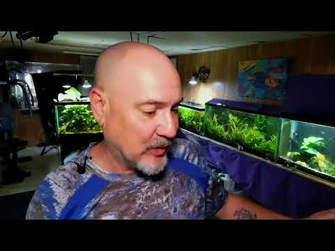 Friday Fish N Hits w/ Dan Join this channel to get access to perks_
https_//www.youtube.com/channel/UCBdxLXjOdp26Ke8NQRt7eBg/j