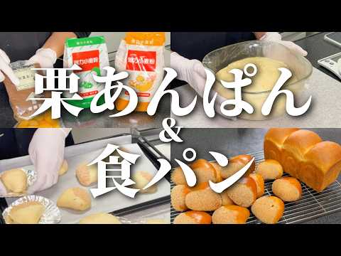 【業務スーパーの粉で】今年２回目の🌰栗あんぱん！余った生地で食パン🍞粉５００ｇを使って大量生産してみた