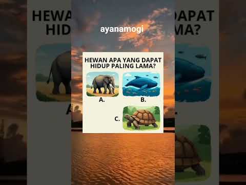 #memes #funny #shorts #fypシ゚viral