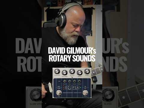 Dawner Prince Eclipsa - David Gilmour's rotary tones! #davidgilmour #pinkfloyd #comfortablynumb