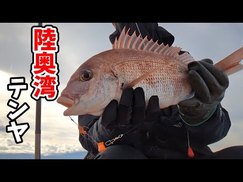 エビで鯛を釣る「ひとつテンヤ真鯛」のコツを学んできた【陸奥湾釣り】