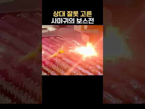 사마귀의 보스전
