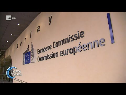 Parlamento europeo, cosa succede dopo le elezioni - Porta a porta 11/06/2024