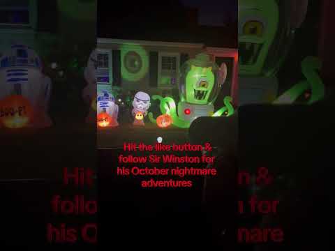 Fright Time 🧌🎃👻💀 #frenchbulldoglovers #bulldog #frenchbulldog #frenchie #halloween #spooky