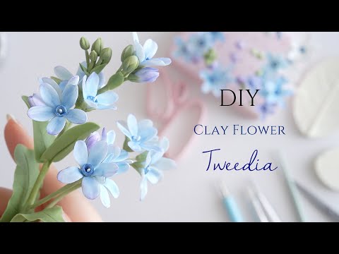 粘土で作るブルースターの花　クレイフラワーの作り方　How to make clay tweedia flower