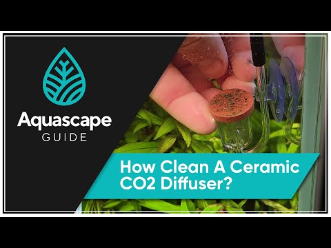 How To Clean a Ceramic CO2 Diffuser #AquascapeGuide #co2 #plantedaquarium 

In this video we show you how to clean your ceramic CO2 Diff