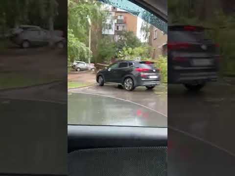 Дерево перекрыло проезд во двор