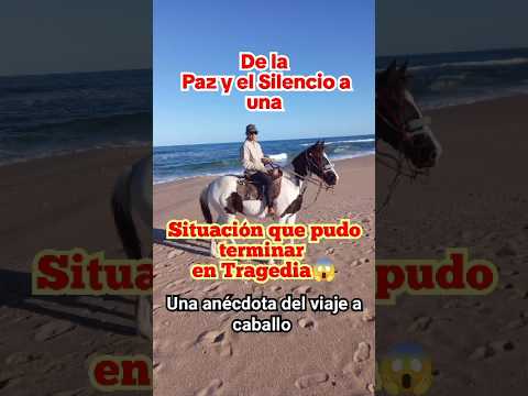 UNA SITUACIÓN QUE PUDO TERMINAR EN TRAGEDIA 😱 #horse #uruguay #caballo #historiareal #tragedia