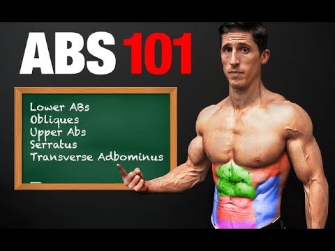 ABS 101 - Step by Step Six Pack Plan! (TARGET EVERY AREA) - UCe0TLA0EsQbE-MjuHXevj2A