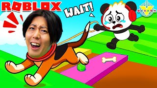 THE DOG WALK OBBY!!!