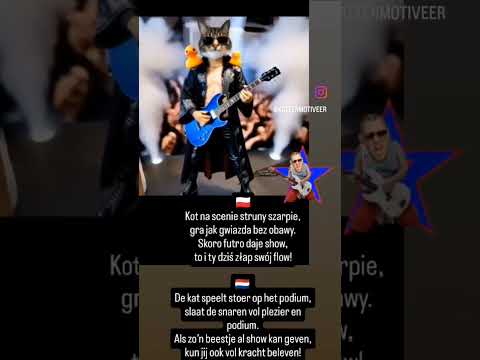 De kat speelt stoer op het podium,slaat de snaren vol plezier en podium....😸🎸 #dc #codi #weekend